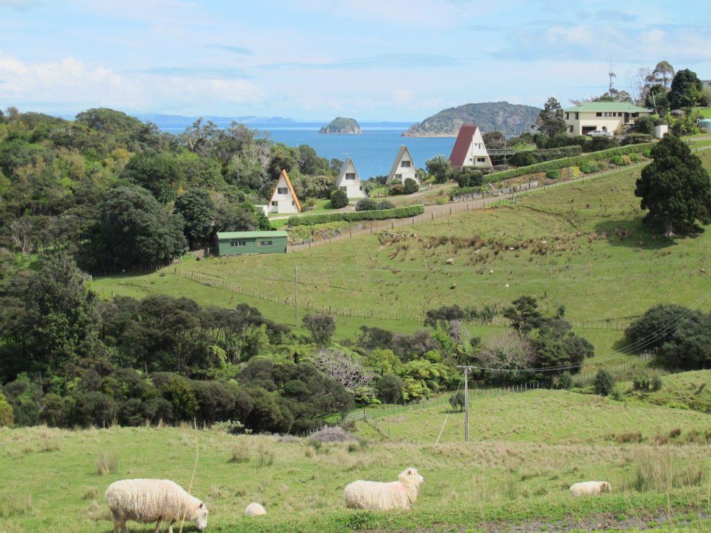 Pohutukawa Coastal Chalets Coromandel Kültér fotó